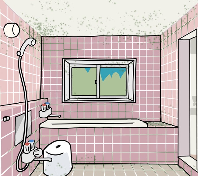 お風呂の天井にカビが発生！原因と自分でできるカビ取り方法とは？